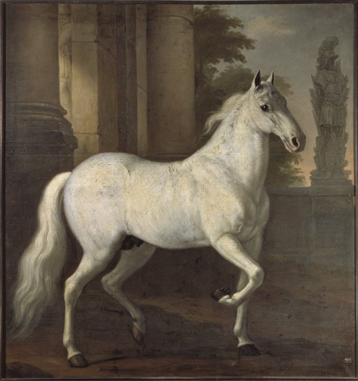 Brilliant, le cheval de compagnie de Charles XI - David Klöcker Ehrenstrahl