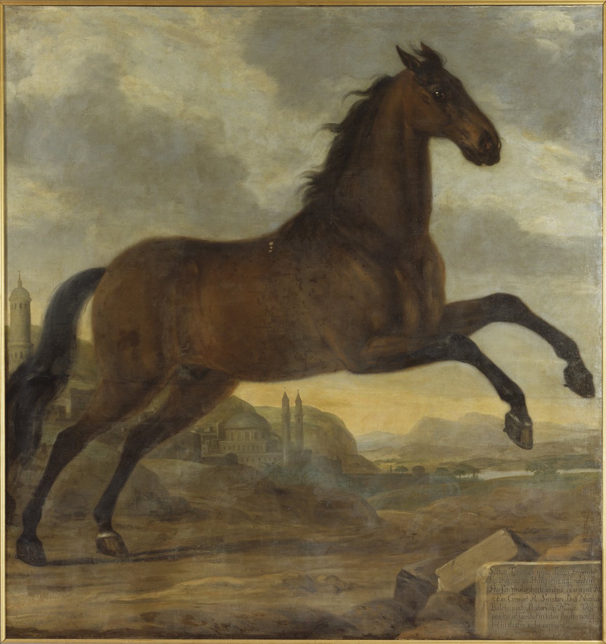 Le cheval de parade de Charles XI, Sultan - David Klöcker Ehrenstrahl