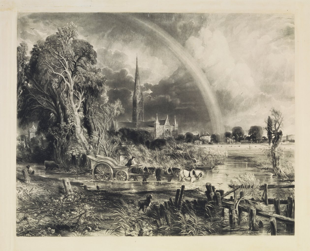 Cathédrale de Salisbury - David Lucas