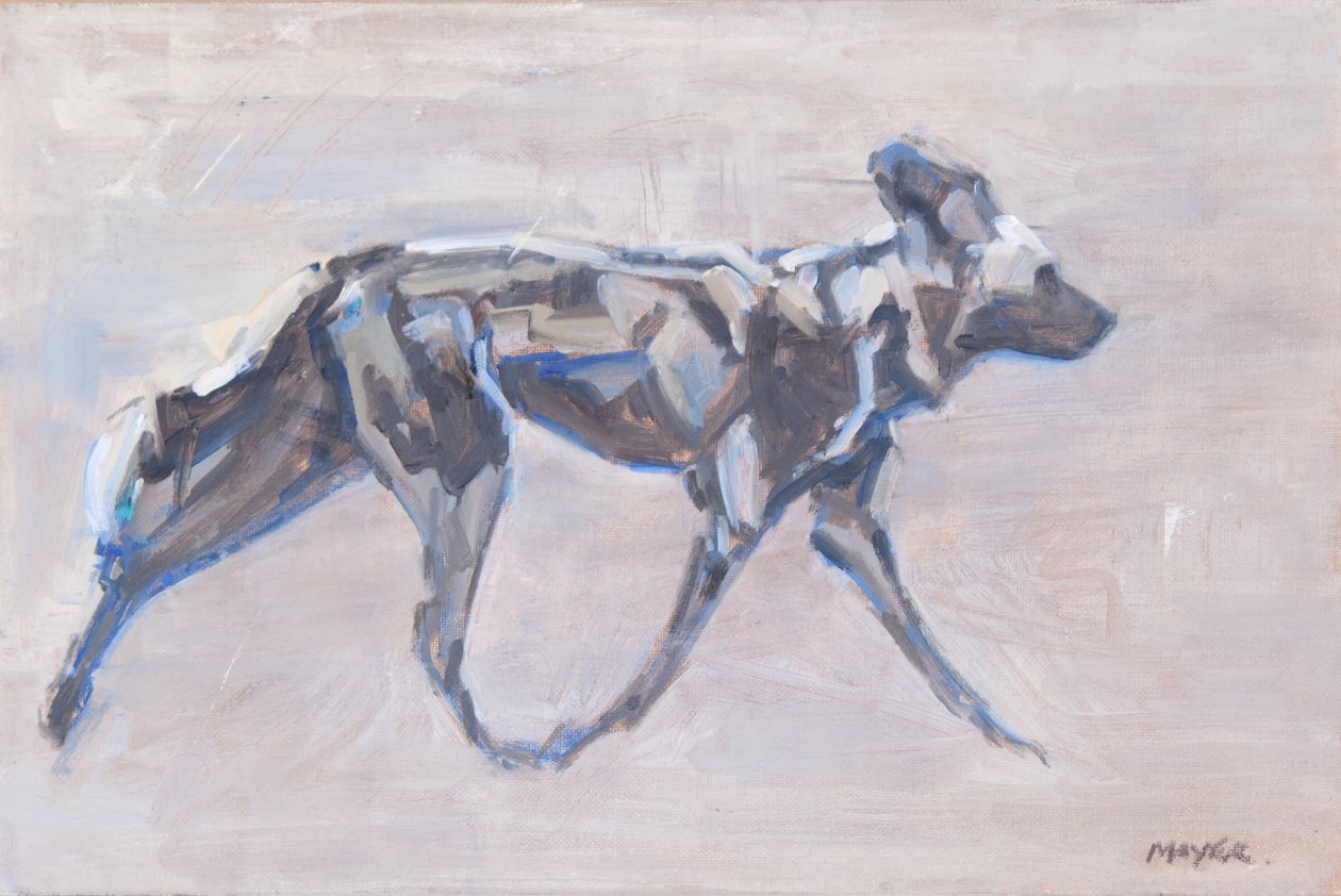 Chien peint africain (chien sauvage) - David Mayer