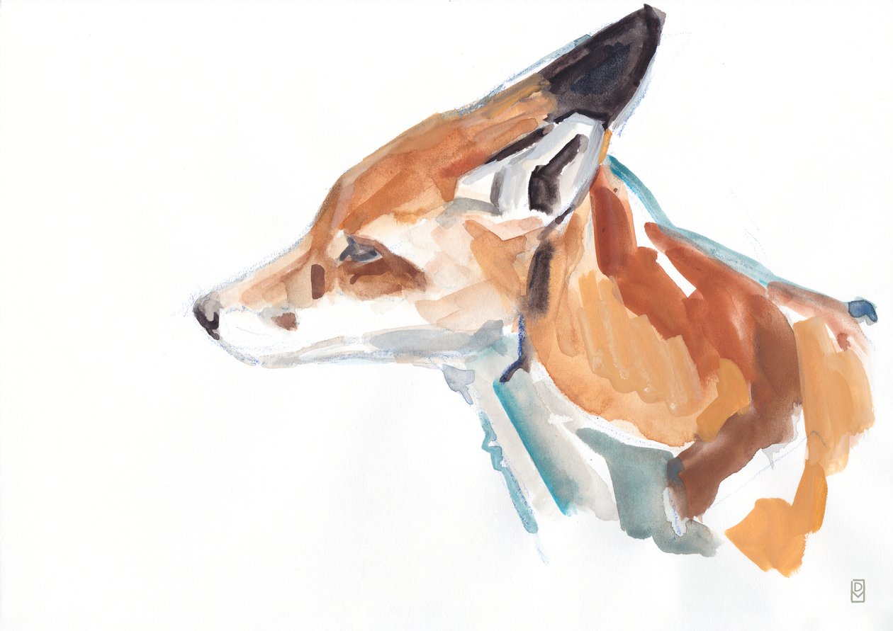 Portrait de renard roux, 2021 - David Mayer