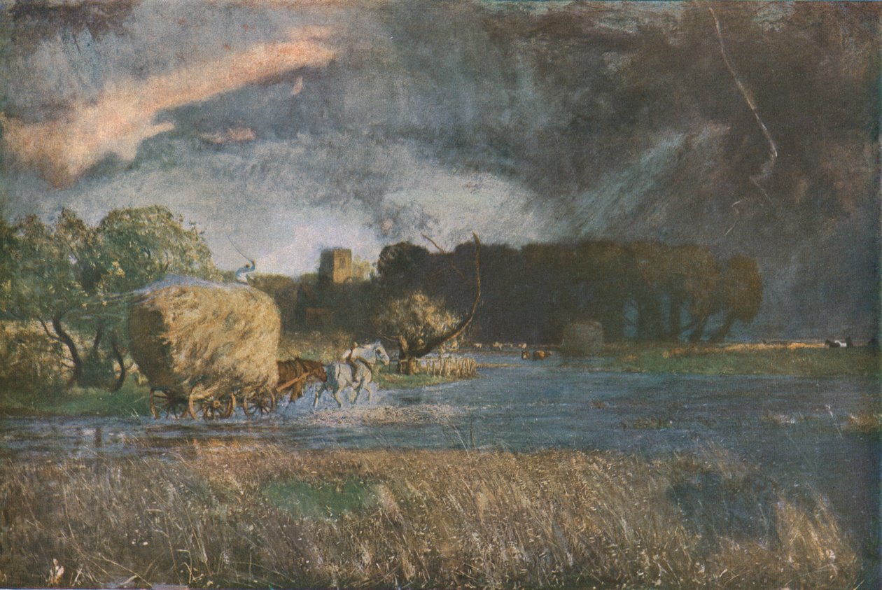 Un foin du Hampshire - David Murray