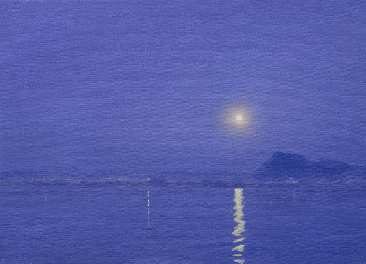 Clair de lune sur Udaipur - Derek Hare