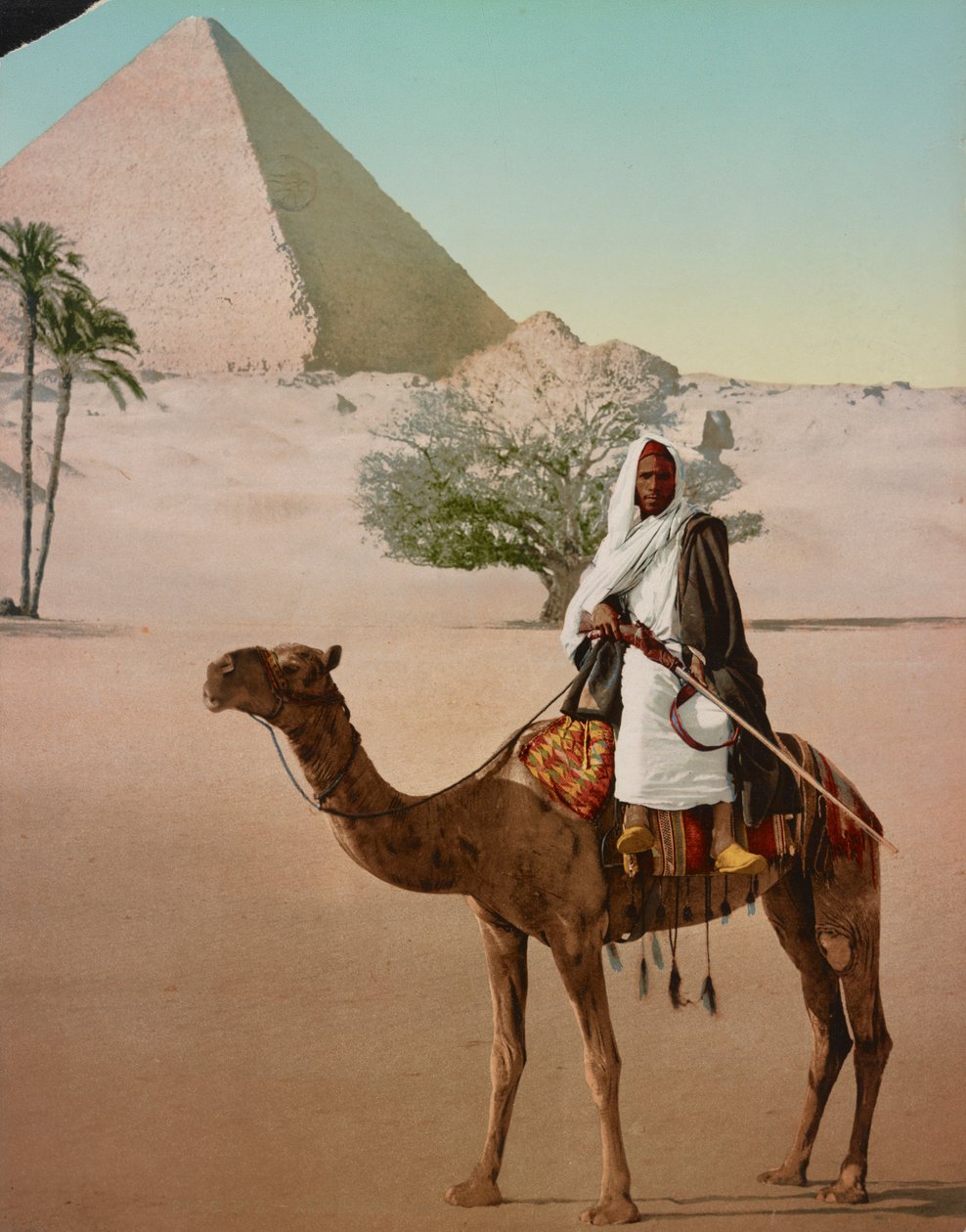 Bédouin sur un chameau et la Grande Pyramide, Le Caire, Égypte - Detroit Photographic Co.