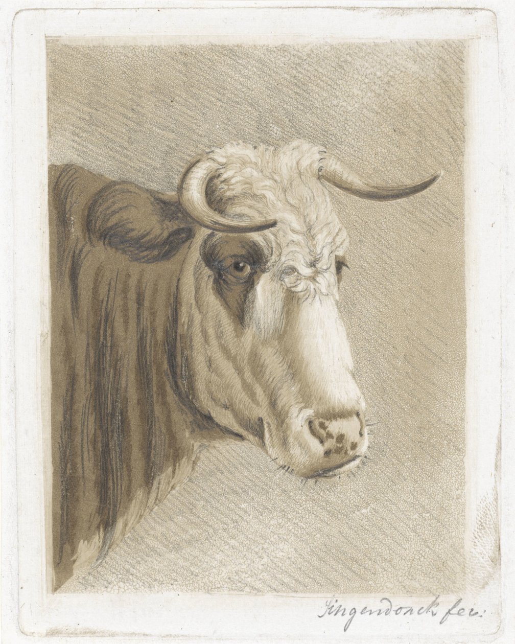 Koekop - Diederik Jan Singendonck (signed by artist)