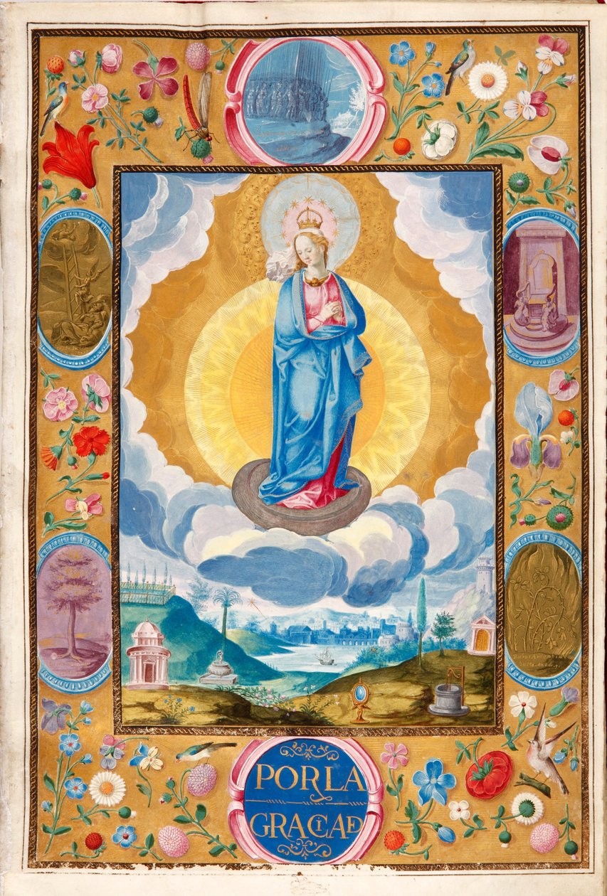Immaculée Conception dans la Charte de chevalerie exécutoire d
