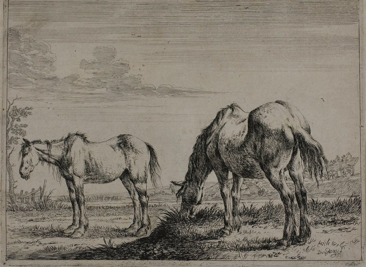 Cheval broutant, planche trois de la série des chevaux - Dirck Stoop