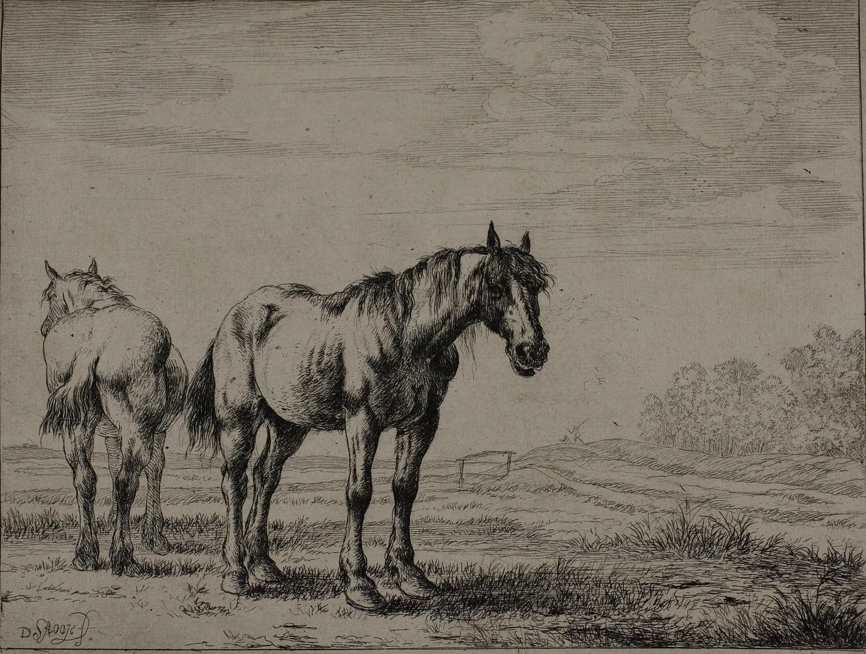 Deux chevaux de labour, planche sept de la série des chevaux - Dirck Stoop