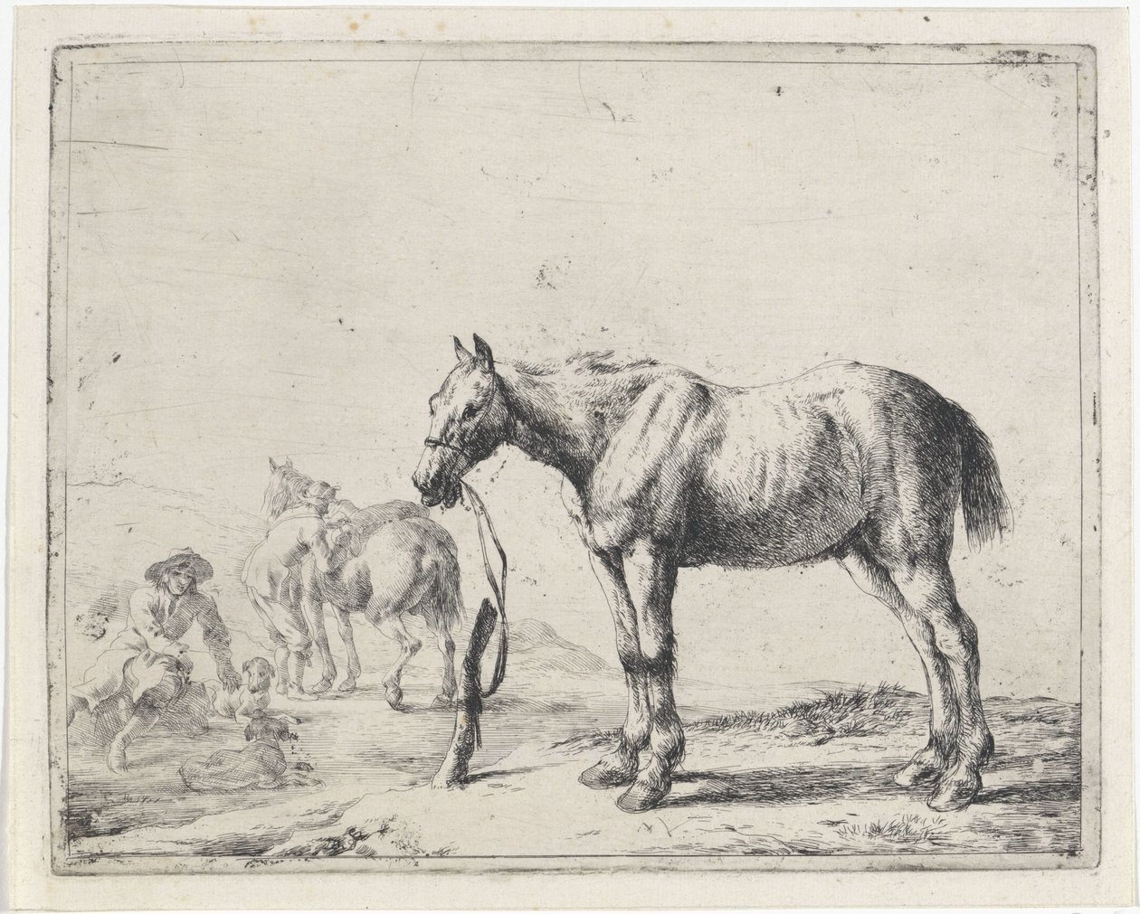 Cheval attaché à un poteau vers la gauche - Dirk Stoop