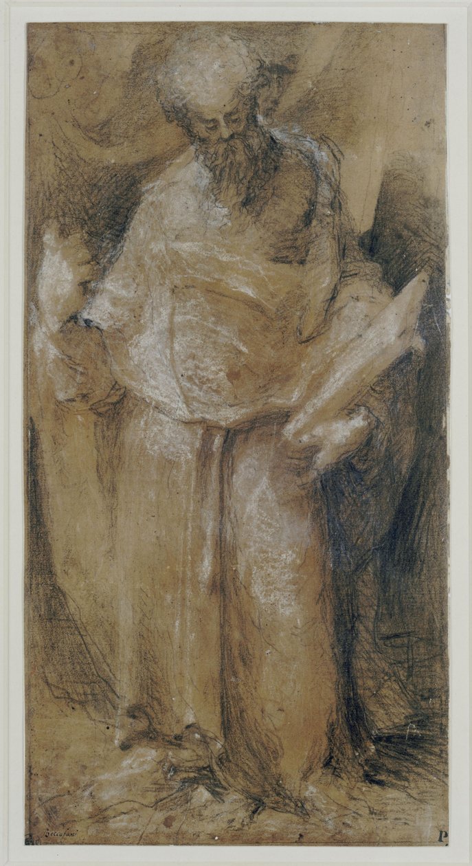 Apôtre (saint Barthélemy) - Domenico Beccafumi