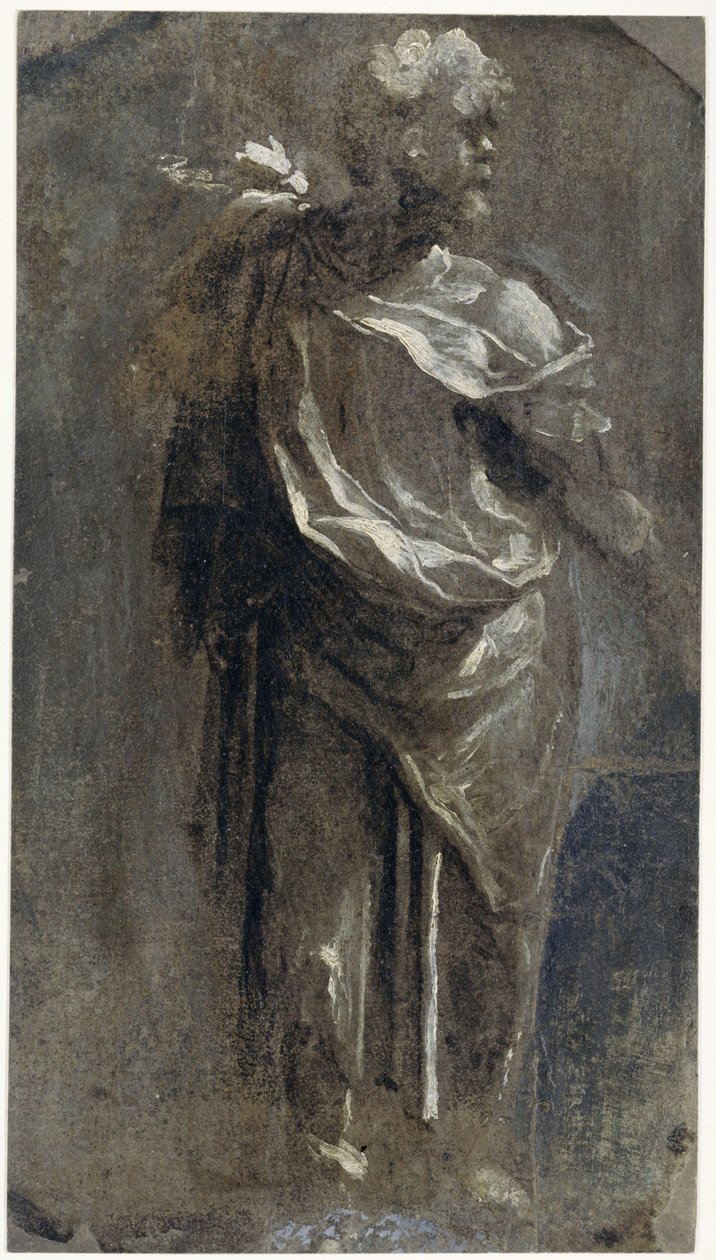 Publius Mutius - Domenico Beccafumi