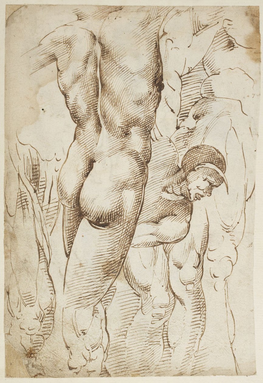 Études de jambes et de nus masculins - Domenico Beccafumi