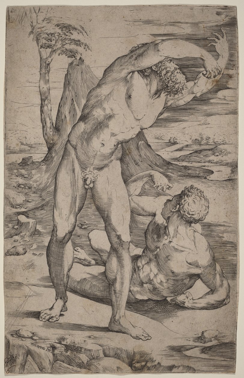 Deux nus masculins faisant des gestes dans un paysage - Domenico Beccafumi