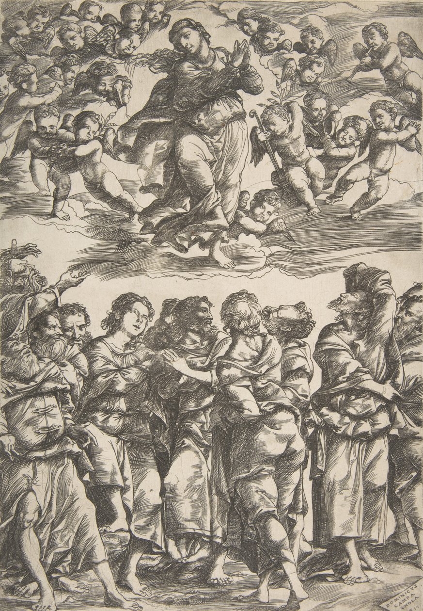 La Vierge au centre en haut dans les nuages avec les mains jointes et le pied droit levé, entourée de... - Domenico Campagnola