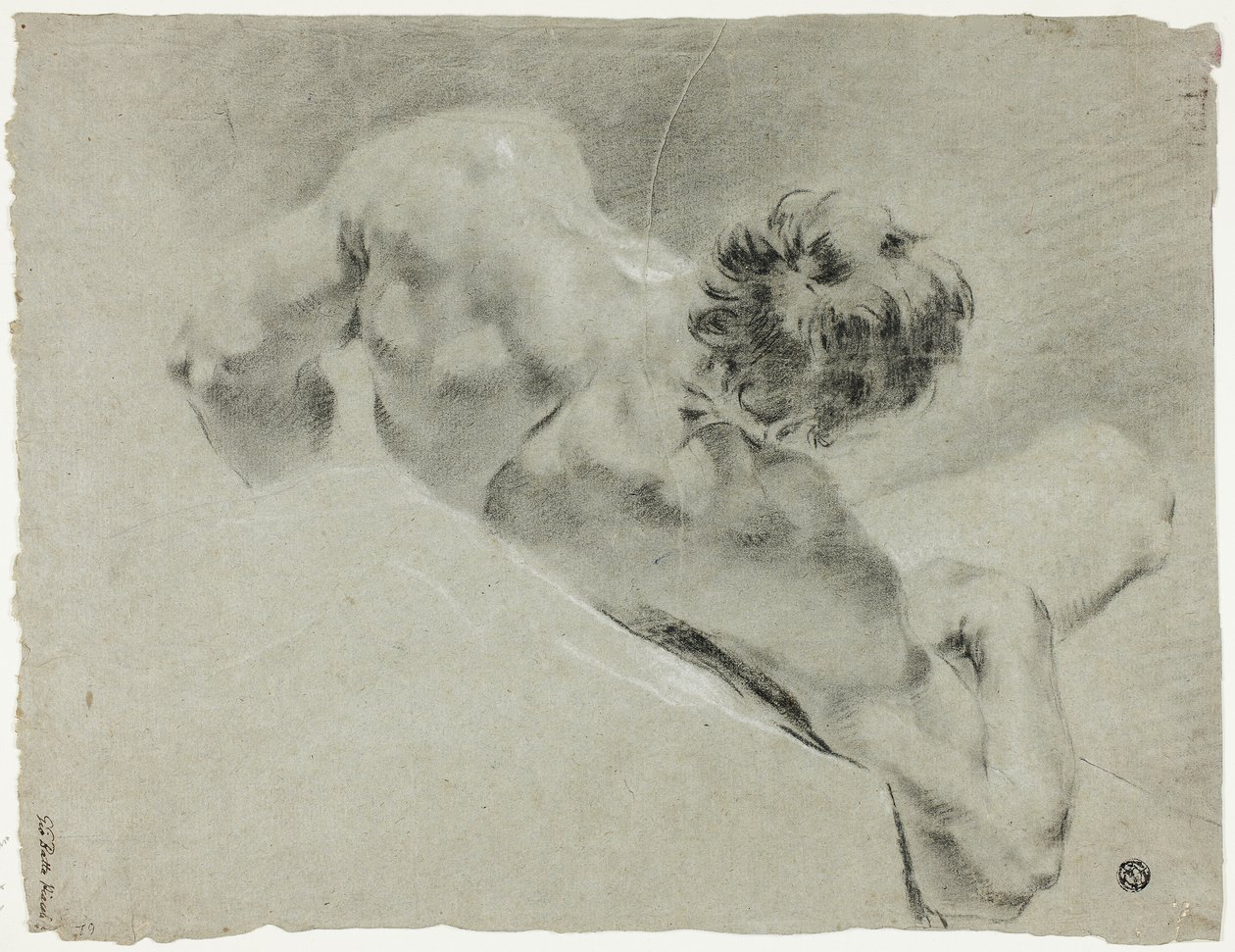 Nu masculin vu de dos - Domenico Maggiotto