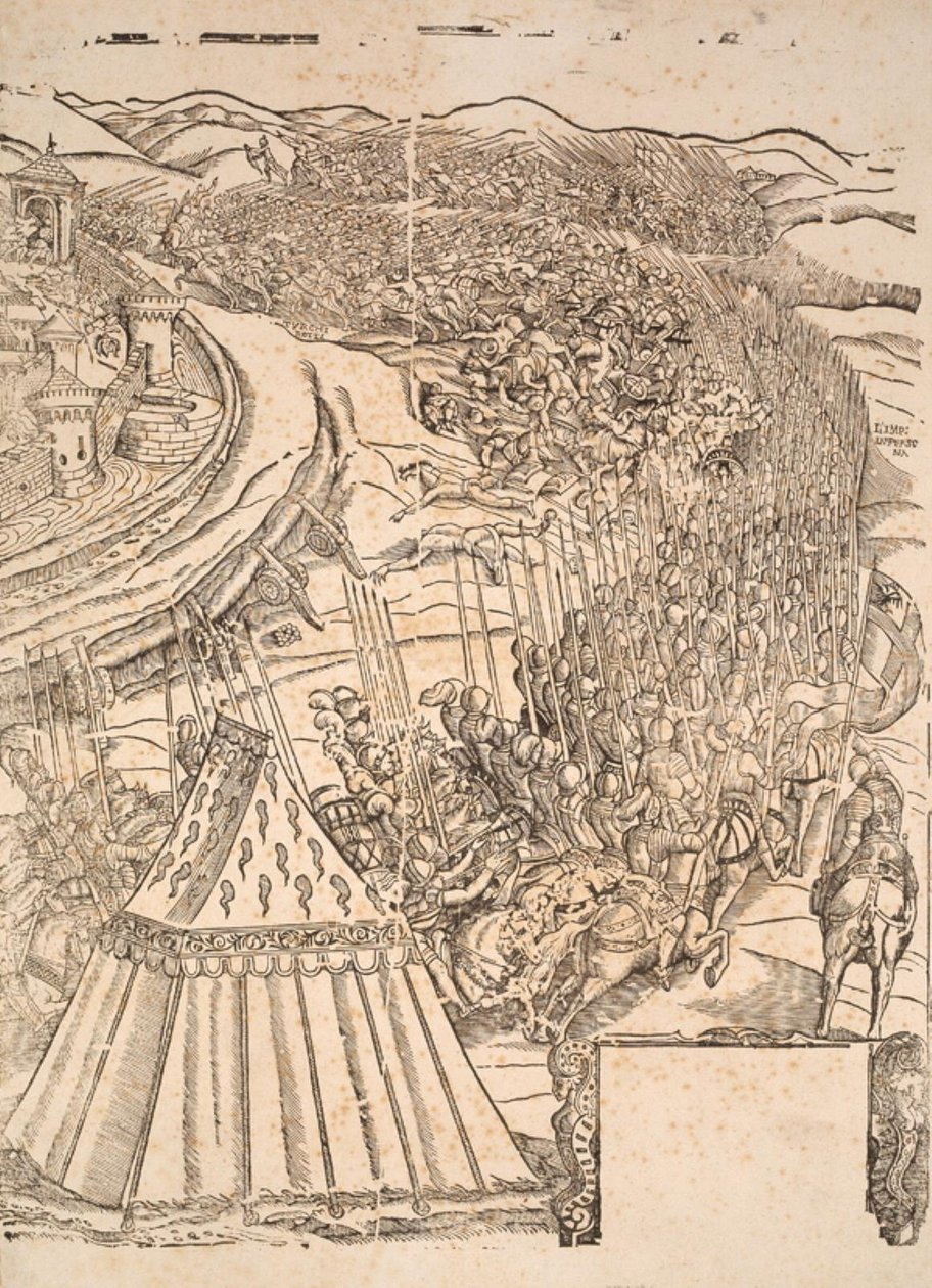 Prise de Goleta à Tunis par Charles V - Domenico dei Franceschi