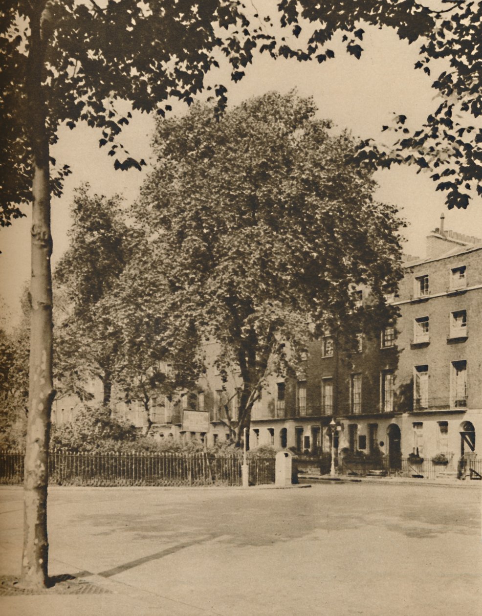 Au pays des pensions : Les platanes de Torrington Square, vers 1935 - Donald McLeish