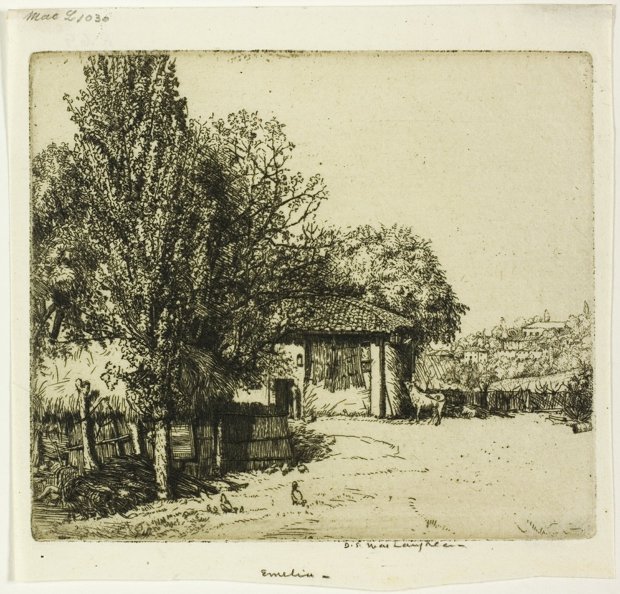 Émilia, Italie - Donald Shaw MacLaughlan