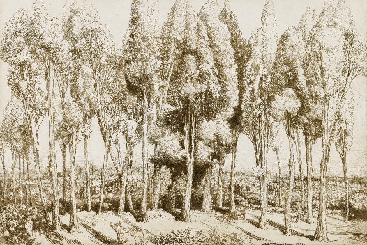 Chant de la route no. 5 - Donald Shaw MacLaughlan