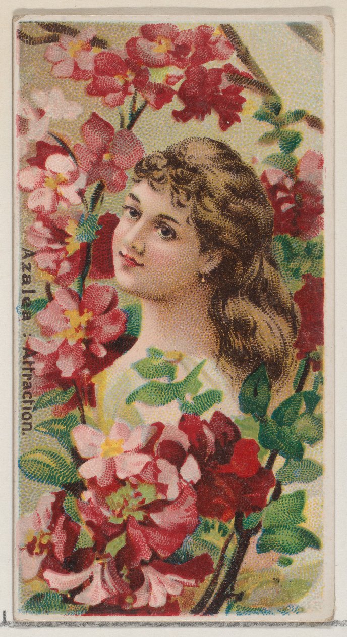 Azalée : Attraction, de la série Beautés florales et langage des fleurs N75 pour Duke..., 1892 - Donaldson Brothers