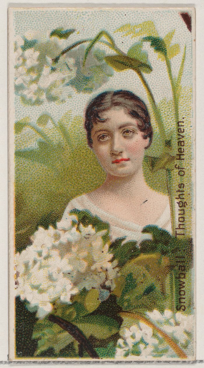Boule de neige : Pensées du paradis, de la série Beautés florales et langage des fleurs N75, 1892 - Donaldson Brothers