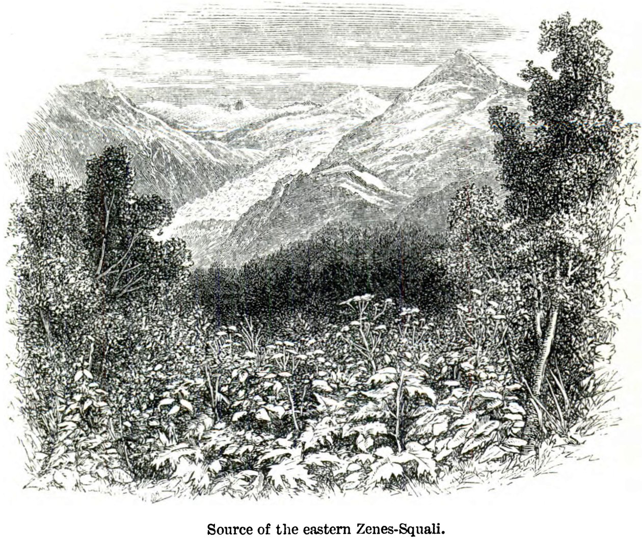 Source du Zenes-Squali oriental. Voyages dans le Caucase central et le Bashan - Douglas William Freshfield