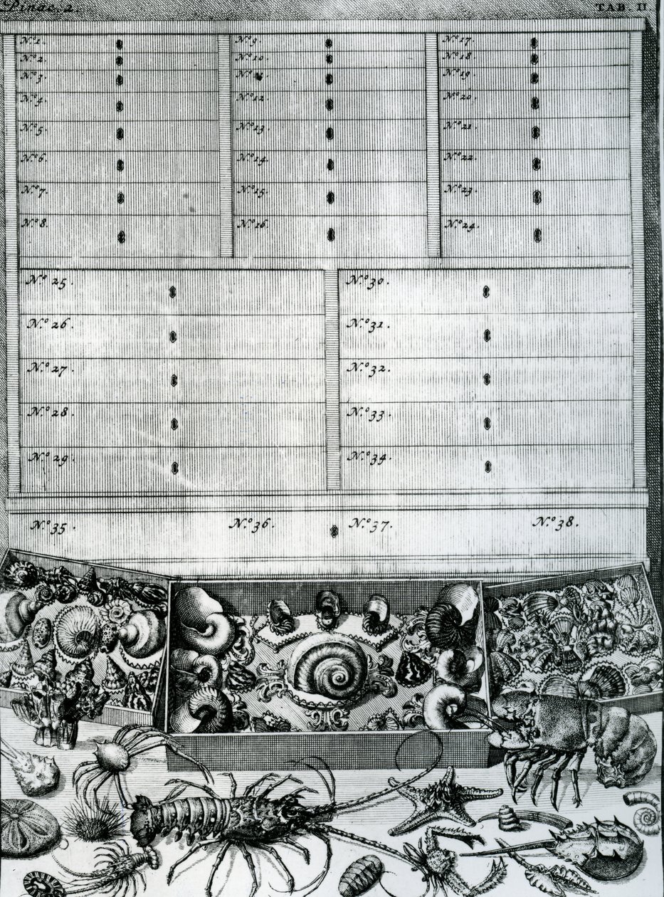 Table II tirée de 