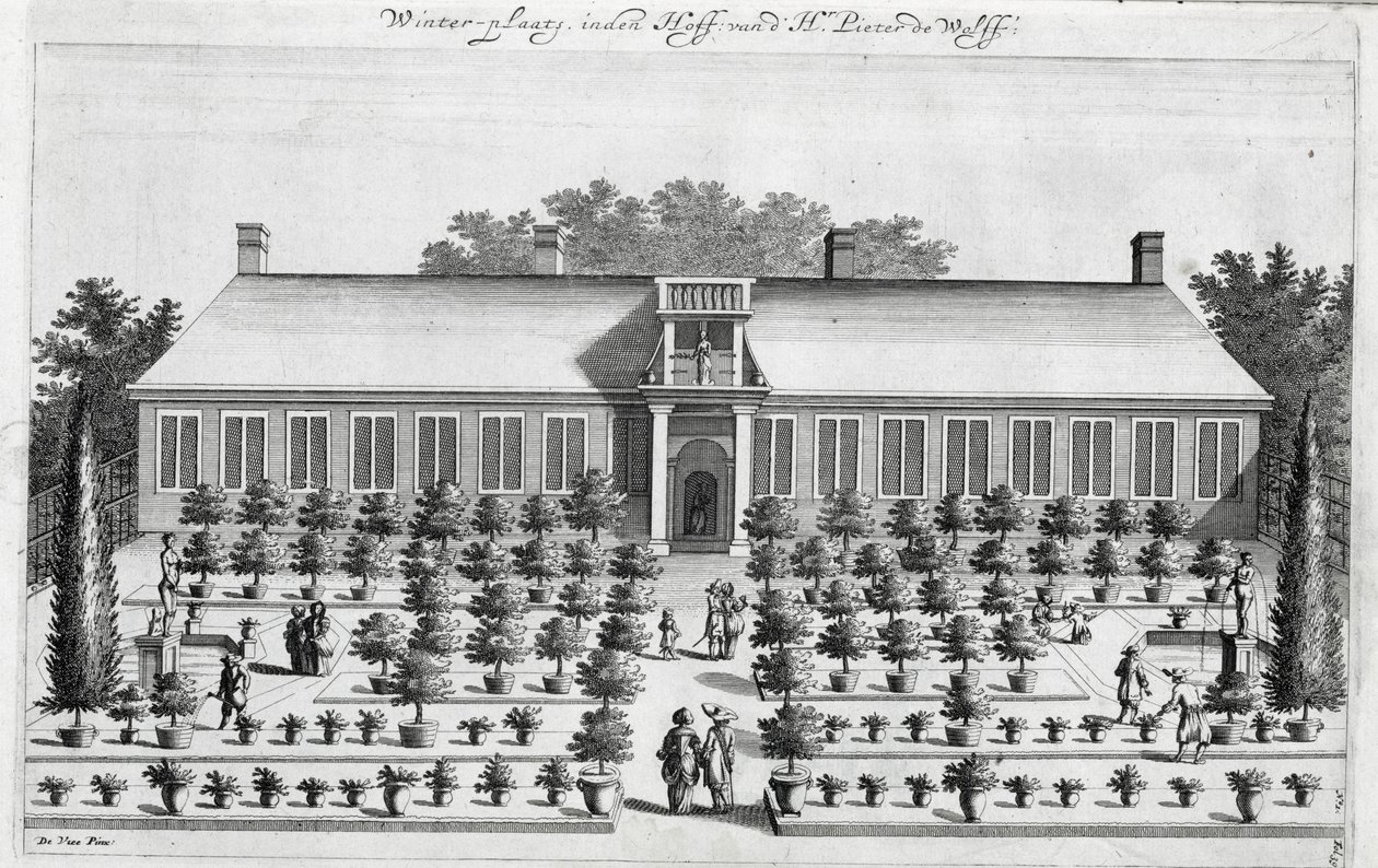 Jardin hollandais, de De Nederlandze Hesperides par Jan Commelin, publié en 1676 - Dutch School