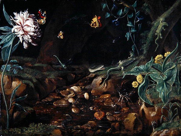 Ruisseau dans un vallon avec des fleurs et des reptiles - Dutch School