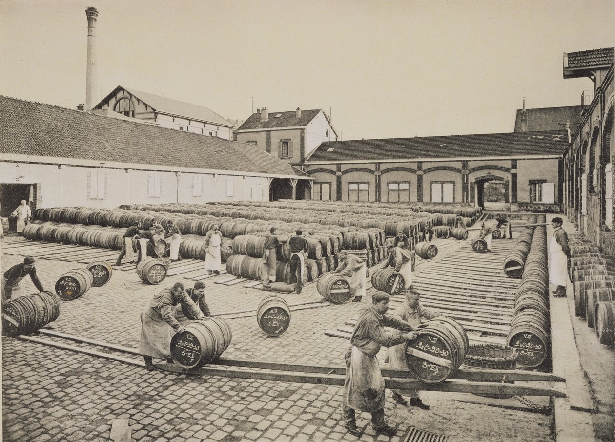 Mise en barriques du vin, de 