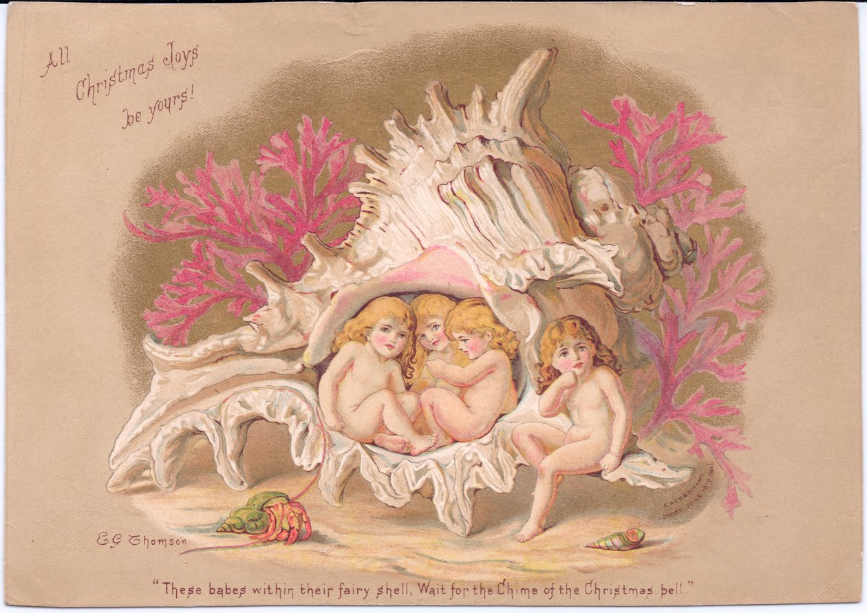 Carte de Noël victorienne de quatre bébés aquatiques assis dans une coquille de Ramrose Murex, sur fond de corail et d