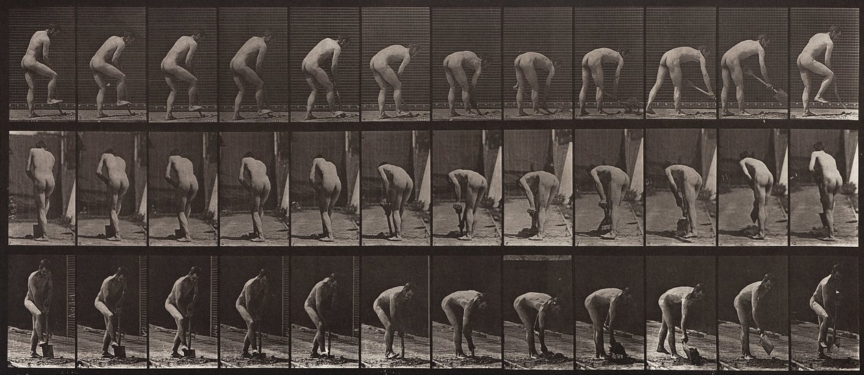 Locomotion animale, Planche 388 - Eadweard Muybridge