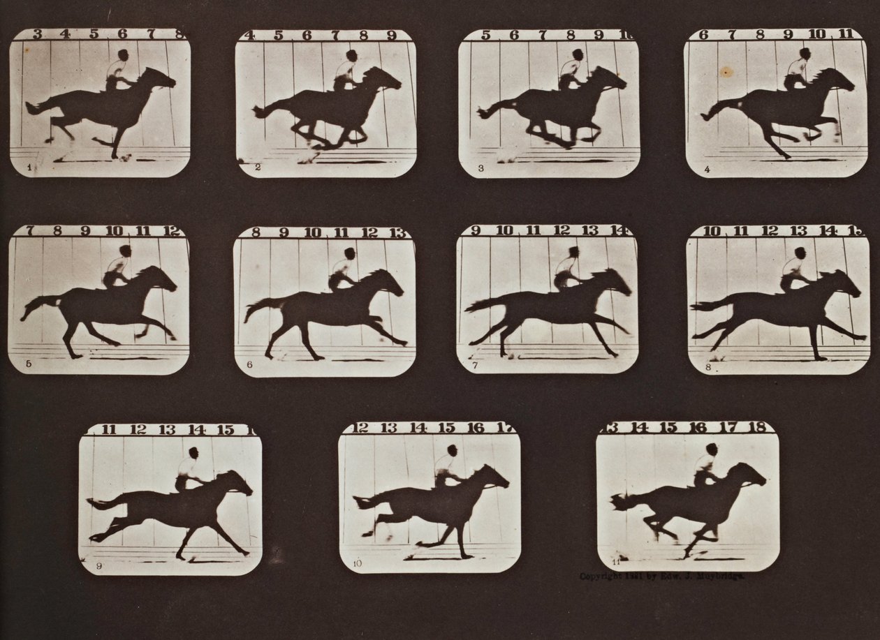 Sallie Gardner courant de Les attitudes des animaux en mouvement - Eadweard Muybridge