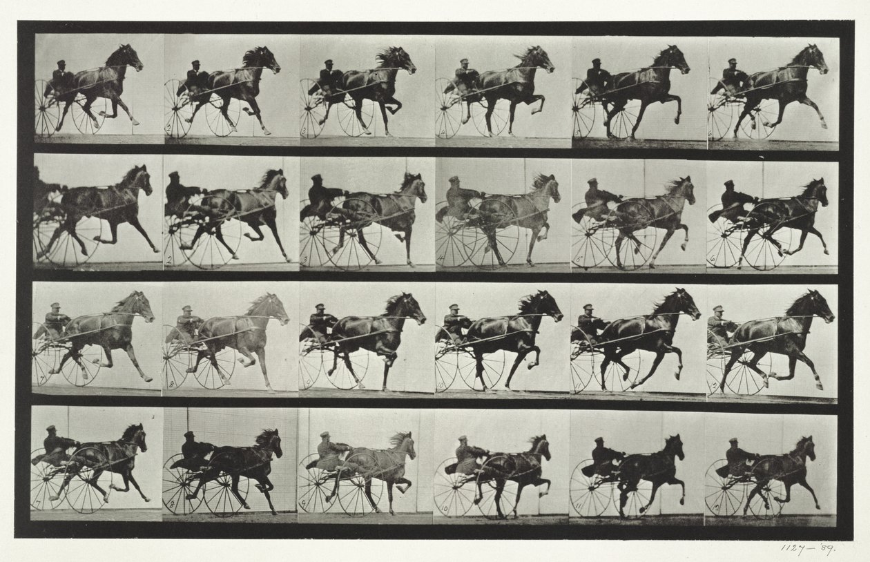 Conduite de voiture, planche 613 de 