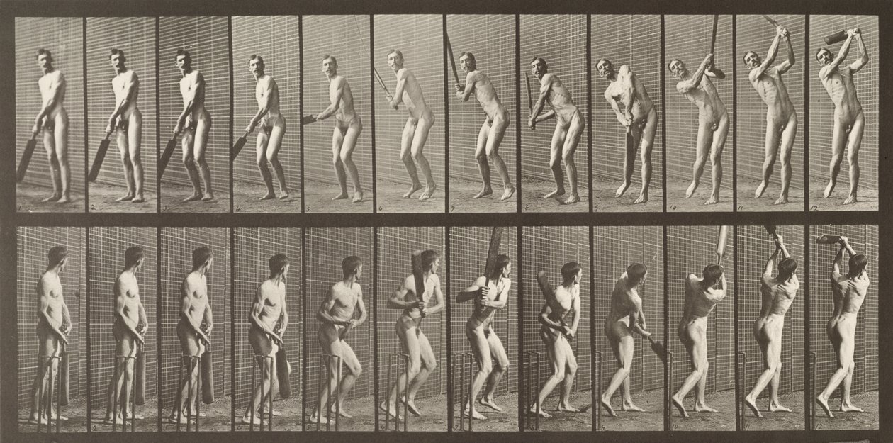Joueur de cricket, planche 291 de 
