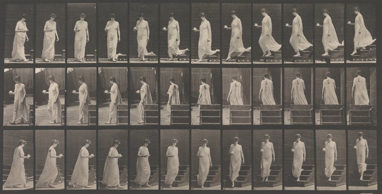 Locomotion animale. Une enquête électro-photographique... des mouvements des animaux. Commence..., années 1880 - Eadweard Muybridge