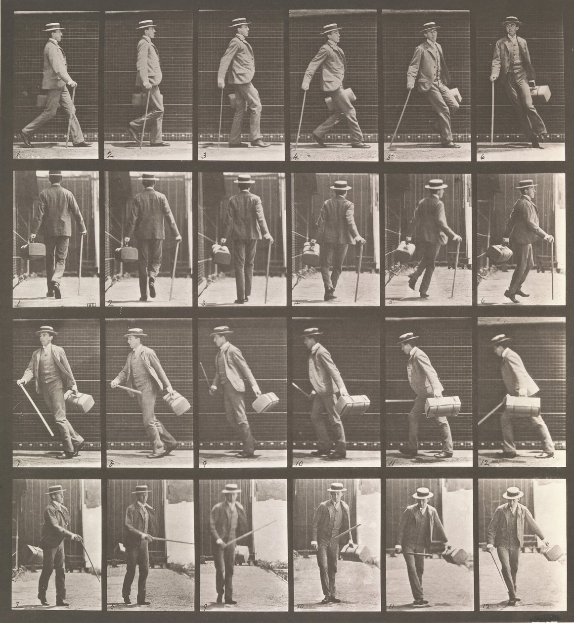 Locomotion animale. Une enquête électro-photographique sur les mouvements des animaux - Eadweard Muybridge