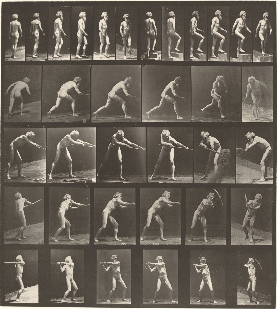 Planche Numéro 521. A : Marche. B : Montée d