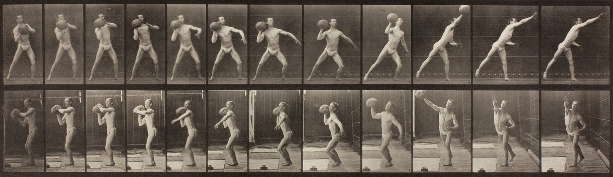 Locomotion animale, planche 319, 1887 - Eadweard Muybridge