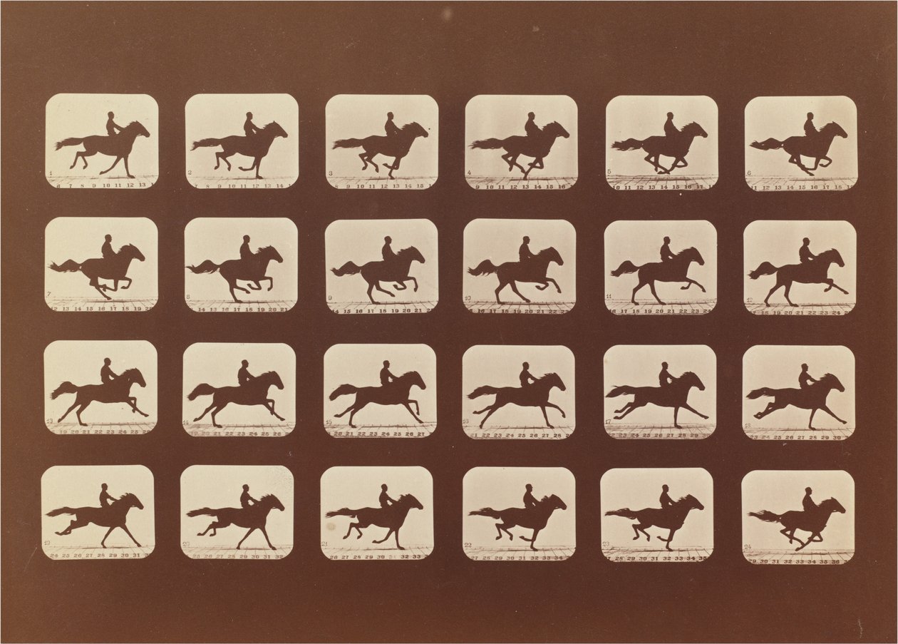 Chevaux. Courir. Phyrne L. No. 40 - Eadweard Muybridge