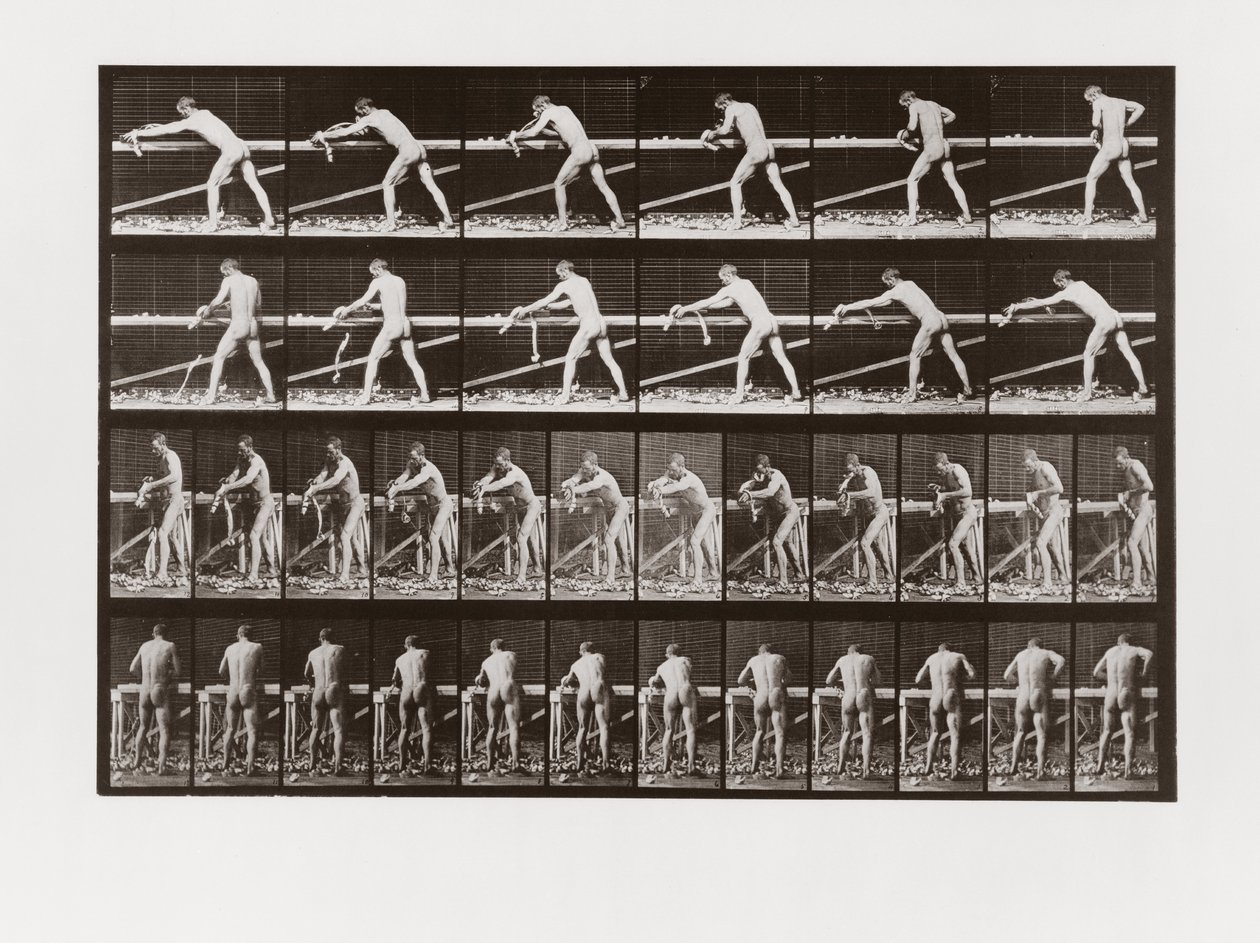 Homme rabotant du bois, Planche 379 de Animal Locomotion, 1887 - Eadweard Muybridge