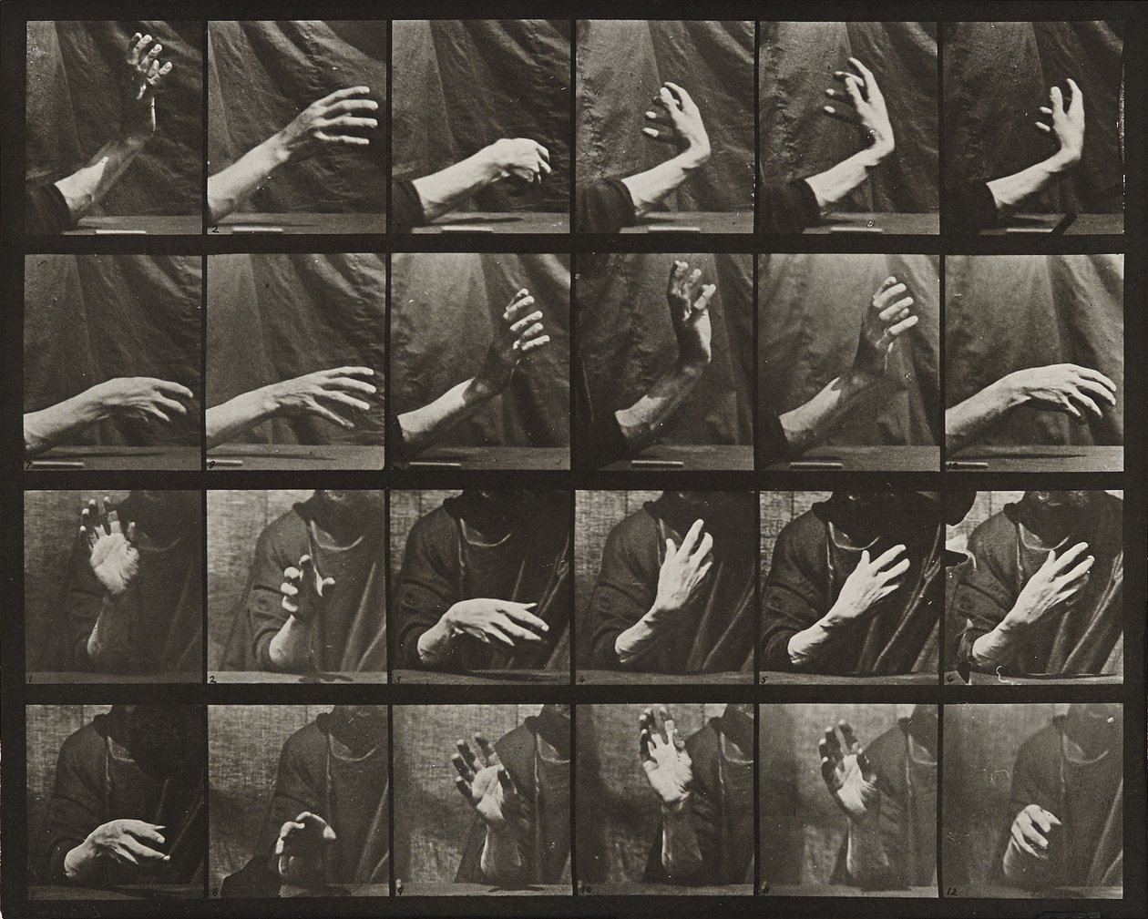 Mouvement de la main; battre la mesure - Eadweard Muybridge