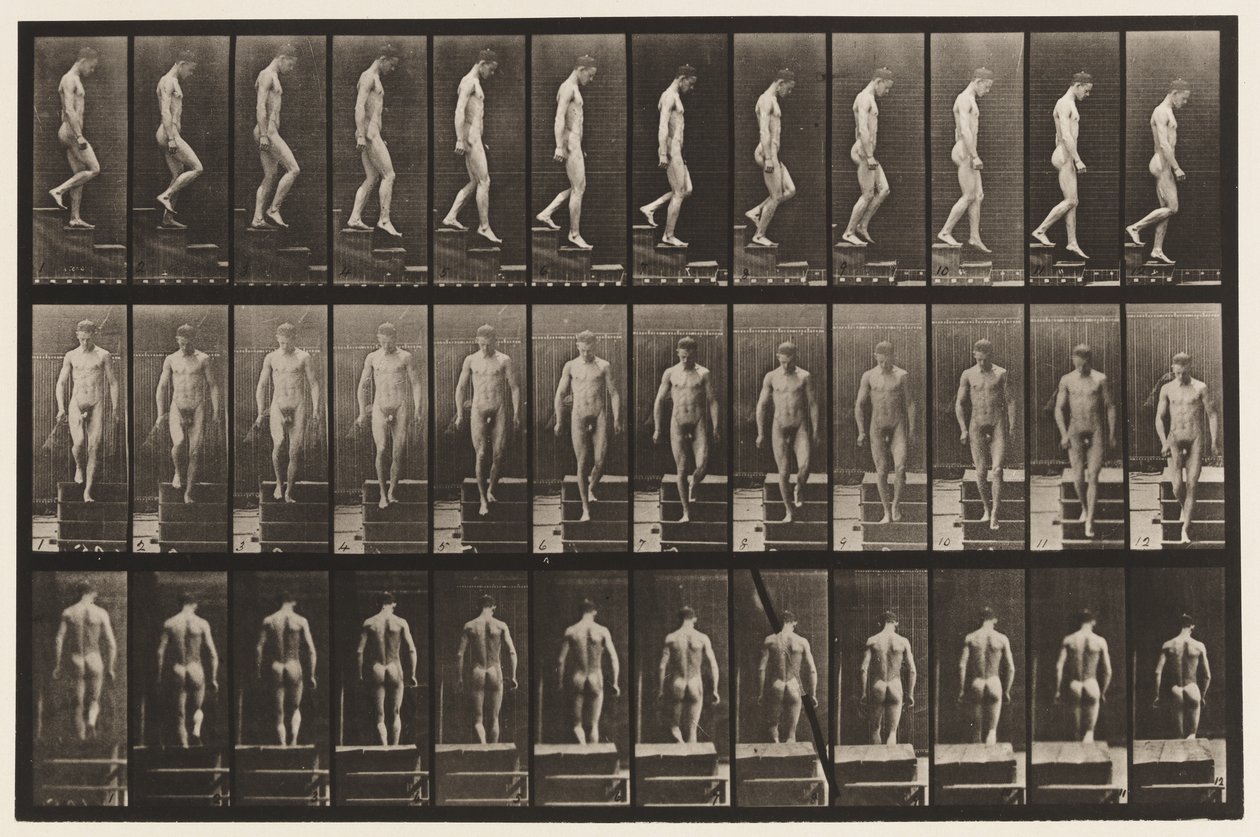 Planche 125. Descendre les escaliers - Eadweard Muybridge