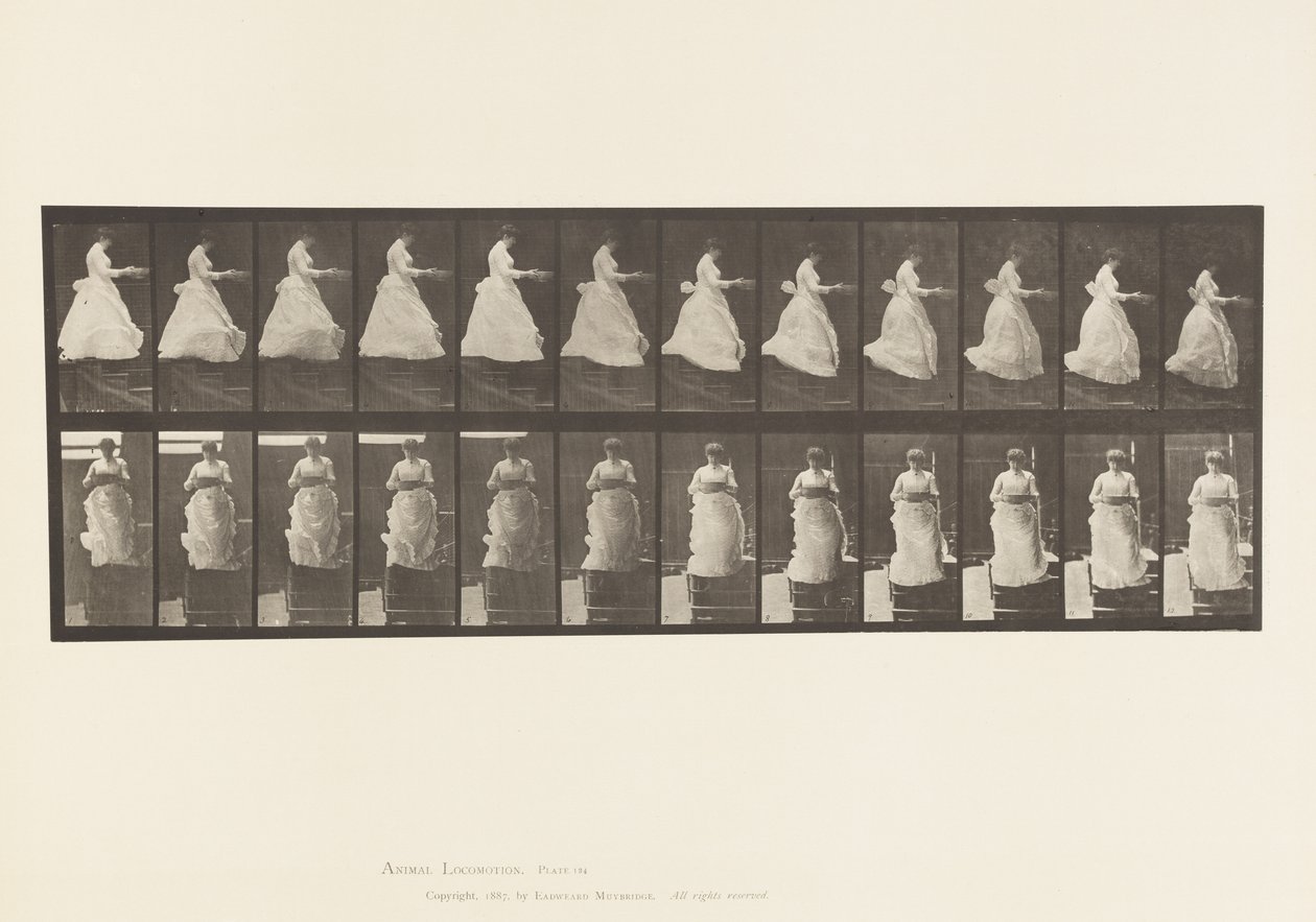 Planche 134. Descendant les Escaliers, avec un Bassin dans les Mains - Eadweard Muybridge