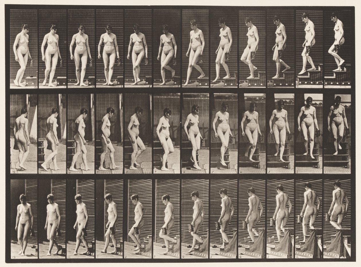 Planche 138. Descendre les escaliers en tournant; pichet dans la main gauche - Eadweard Muybridge