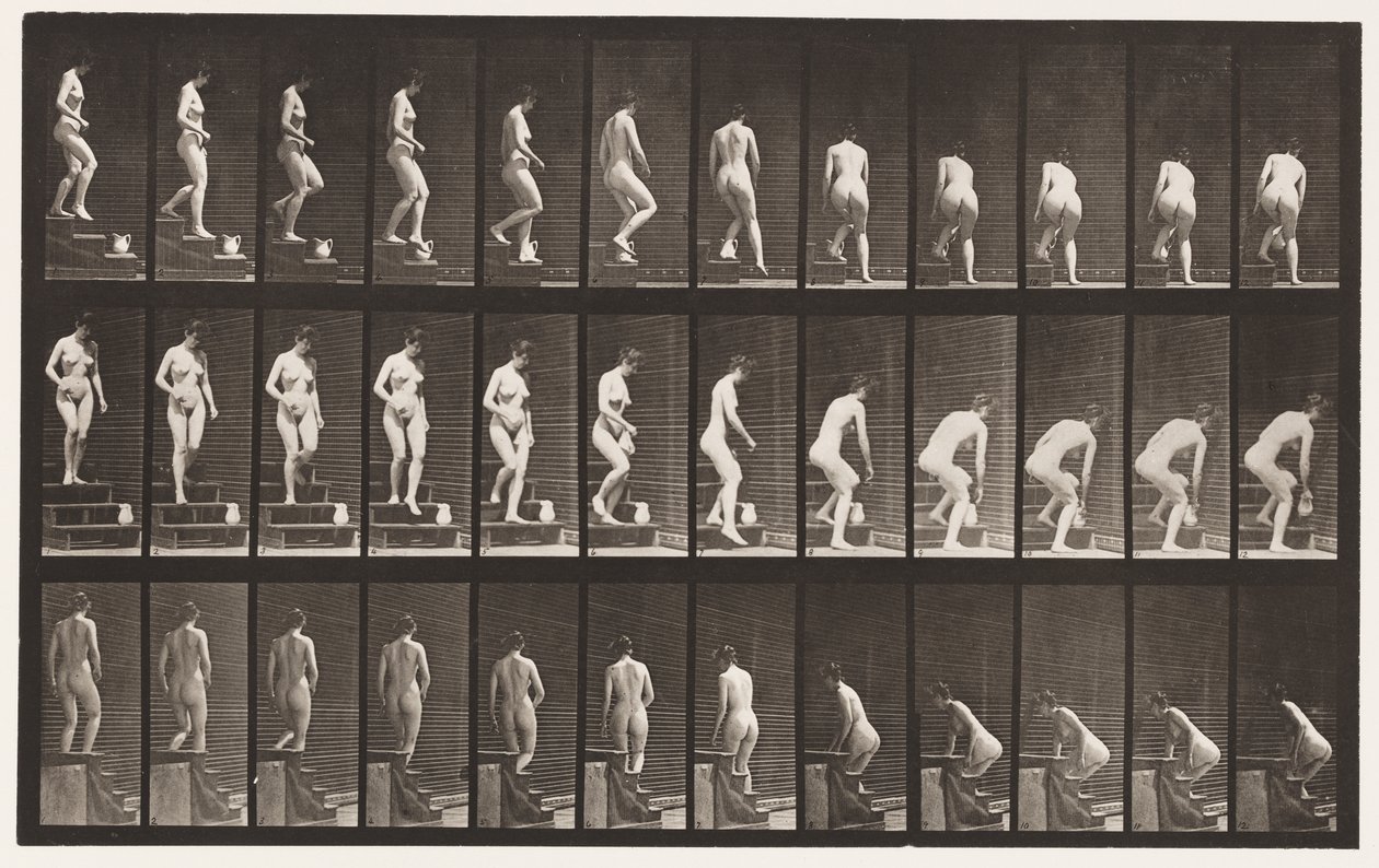 Planche 149. Descendre les escaliers ; se pencher pour soulever un pichet, 1872-1885 - Eadweard Muybridge
