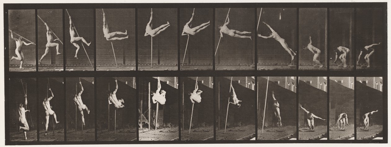 Saut; Saut à la perche, 1872-1885 - Eadweard Muybridge