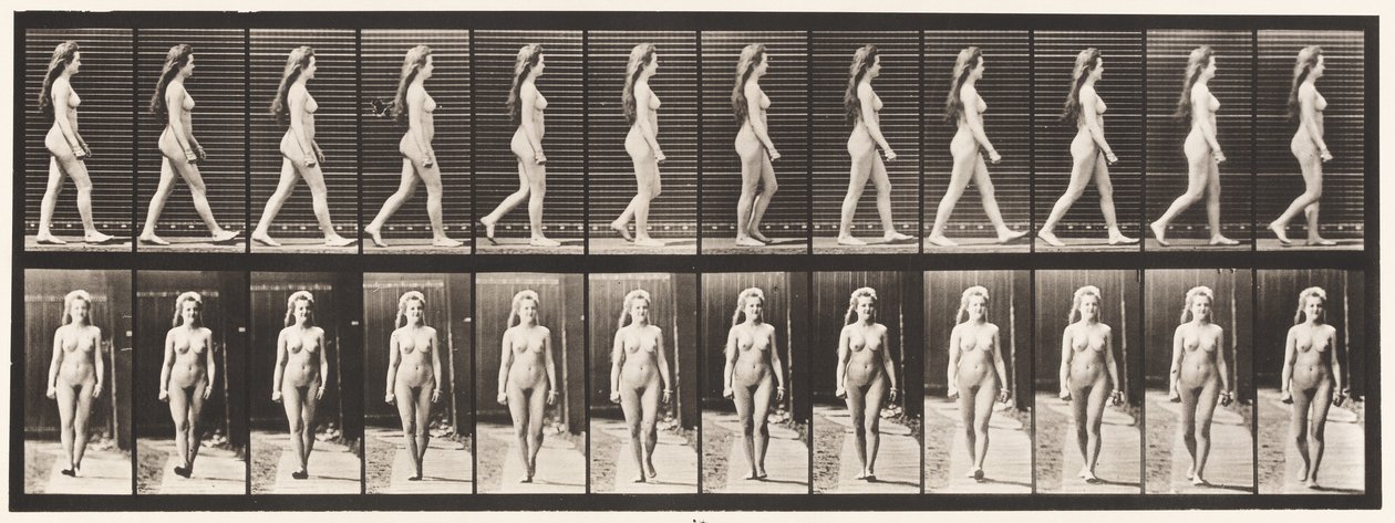 Planche 17. Marcher, 1872-1885 - Eadweard Muybridge
