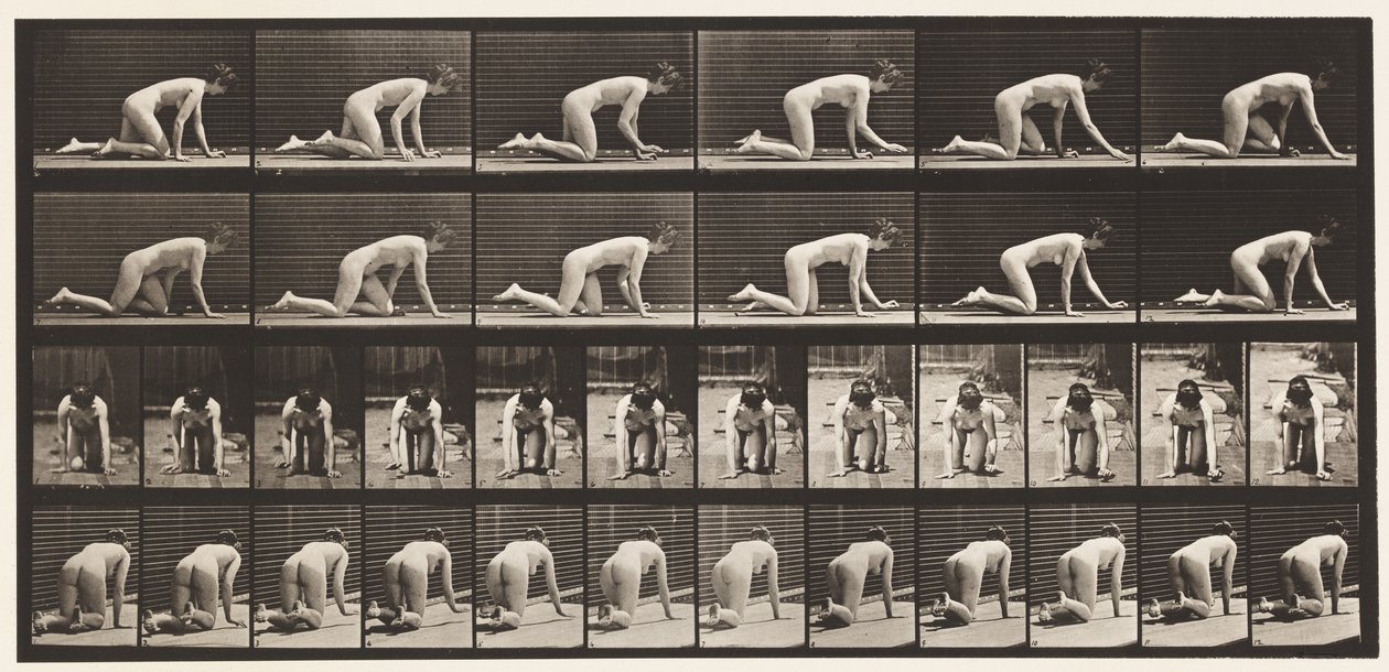 Planche 182. Ramper sur les mains et les genoux - Eadweard Muybridge