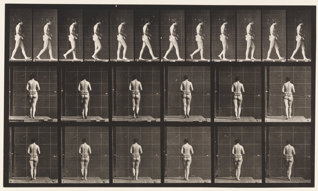 Planche 21. Marche, les deux coudes pliés - Eadweard Muybridge